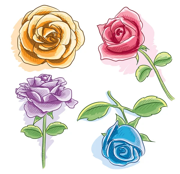Akvarelová růže — Stockový vektor