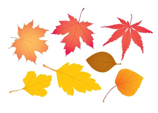 Autumn Leaves — Stock Vector