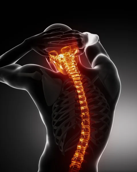 Manliga kroppen ryggraden scan — Stockfoto