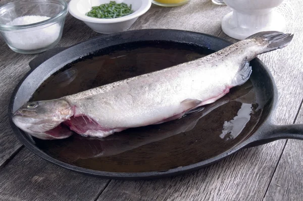 Freshly caught trout — Stock Photo, Image