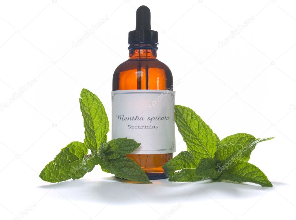 Spearmint extraction or essential oil