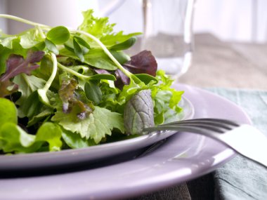Green salad clipart