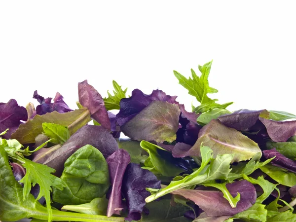 Verduras de primavera misturadas — Fotografia de Stock