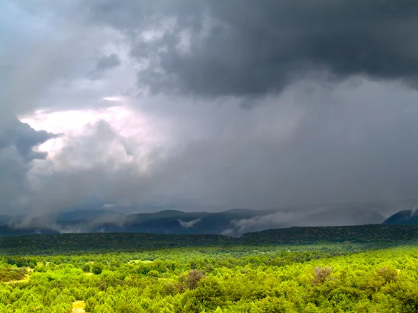 Monsunregen im Tonto-Nationalwald — Stockfoto