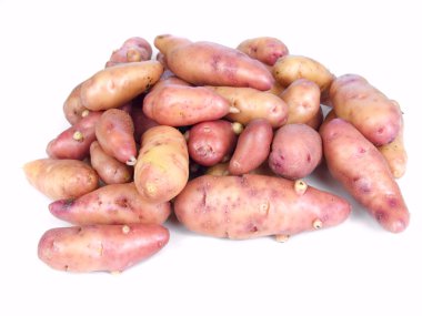 Rose fingerling potatoes clipart