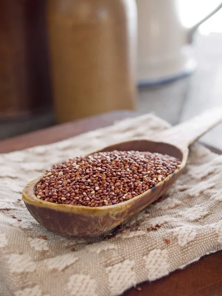 Κόκκινο quinoa — Φωτογραφία Αρχείου