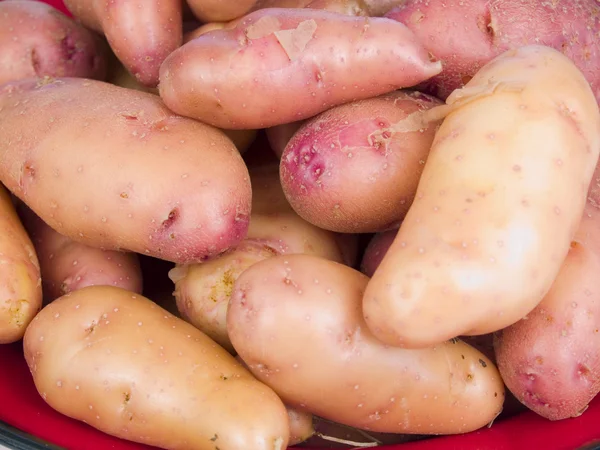 Rose fingerling potatoes — Stock Photo, Image