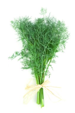 Dill beyaz üzerine izole
