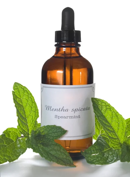 Spearmint extraction or essential oil — Stock Photo, Image
