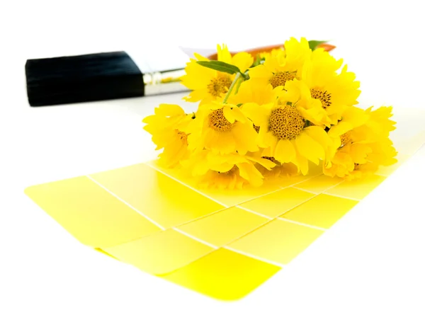Bright yellow paint plan — Stock Photo, Image