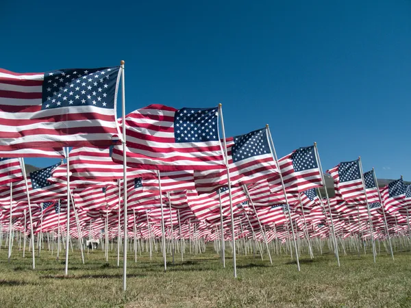 Flagi amerykańskiej — Zdjęcie stockowe
