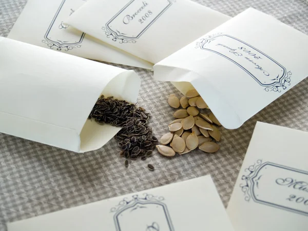 Seeds in packets — Stock Photo, Image