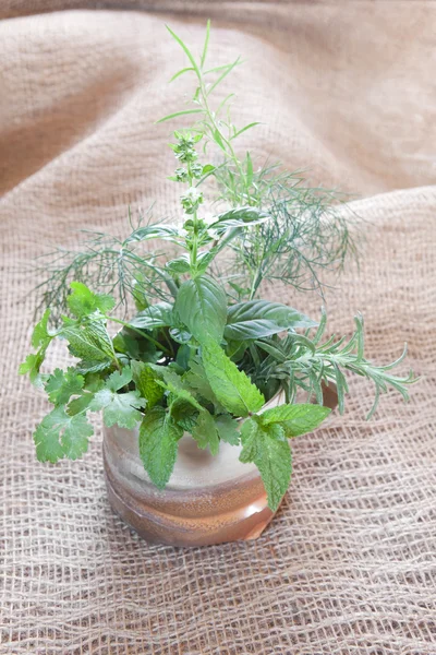 Herbs in a mug — Stock Photo, Image