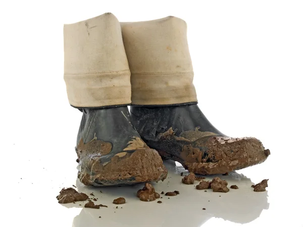Muddy rubber boots — Stock Photo, Image
