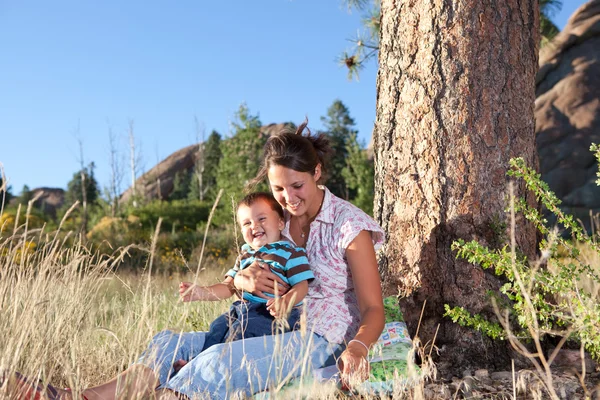 Mãe e filho brincando sob um grande pinheiro — Fotografia de Stock