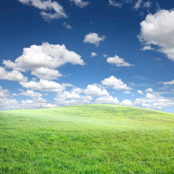 Grönt gräs och blå himmel med moln — Stockfoto