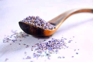 Dried lavender clipart