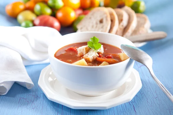 stock image Hearty vegetable soup