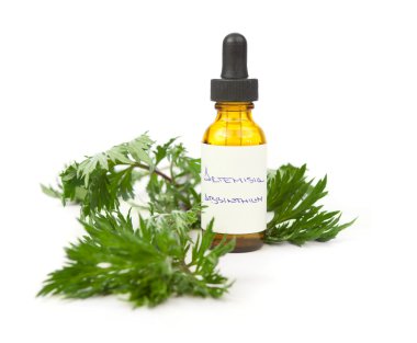 Wormwood herbal tincture or oil clipart