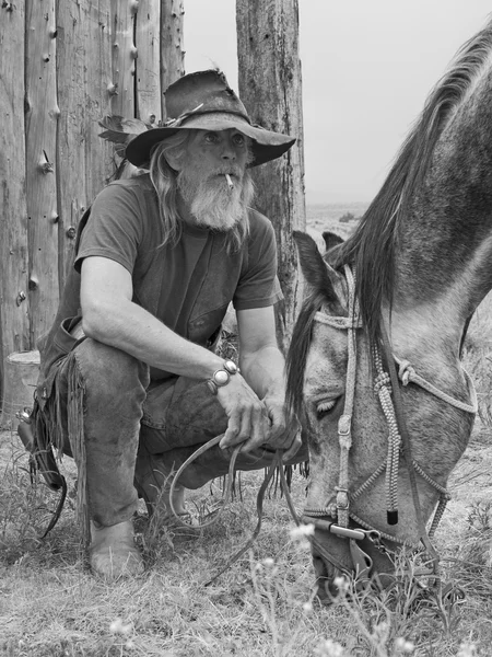 Kovboj s koněm — Stock fotografie