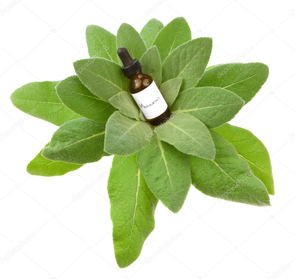 Mullein herbal tincture or oil