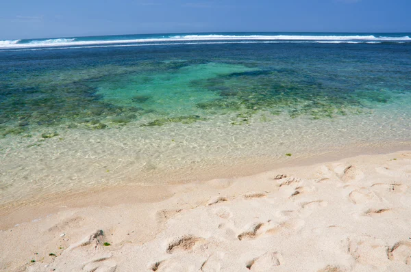 stock image Tropical paradise beach