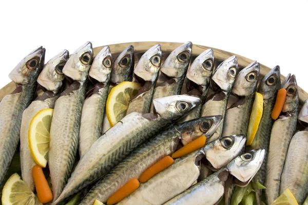 stock image Fresh fish for coocking