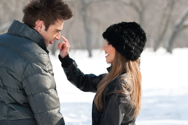 stock image Winter fun