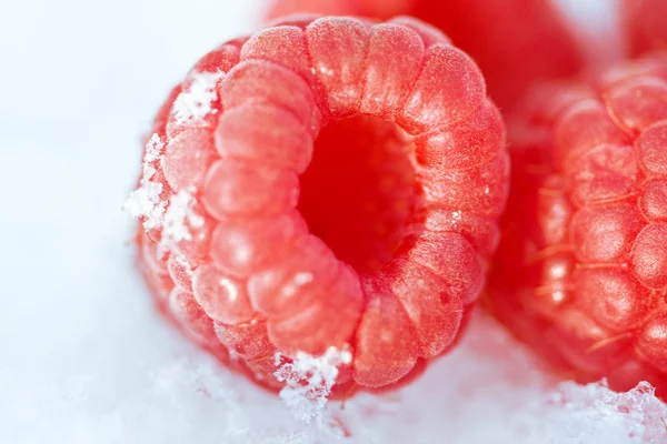 Raspberries in the snow — Stock Photo, Image