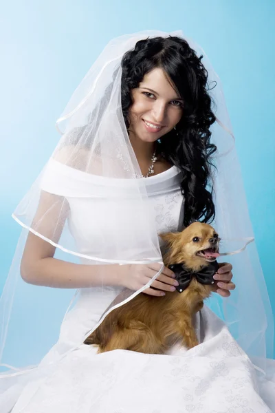 Beautiful brunette bride with a dog — Stock Photo, Image