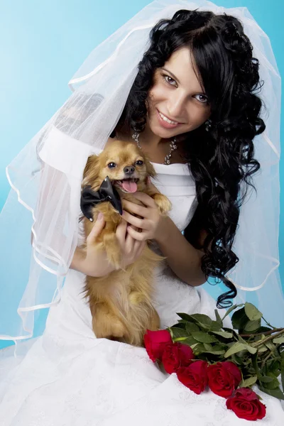 Beautiful brunette bride with a dog — Stock Photo, Image