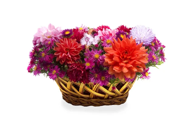 Košík s květinami na bílém pozadí — Stock fotografie