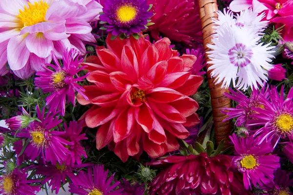 Καλάθι με λουλούδια — Φωτογραφία Αρχείου