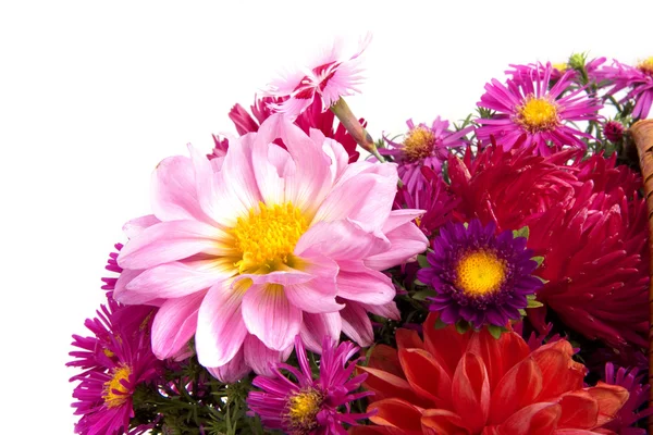 Basket of flowers on a white background — Stock Photo, Image