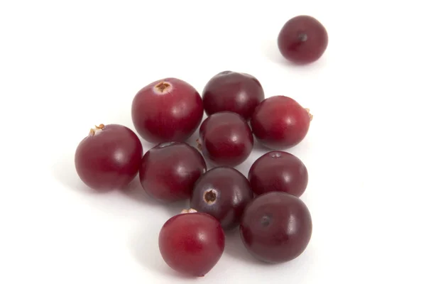 Cranberries em um fundo branco — Fotografia de Stock
