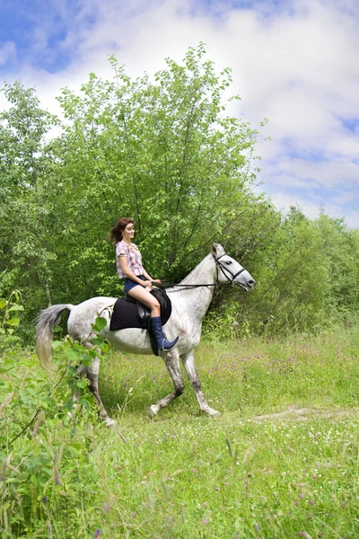 Brunette meisje met paard — Stockfoto