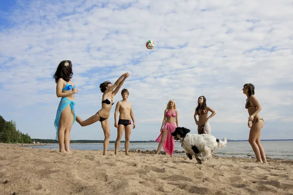 På stranden spelar volleyboll — Stockfoto