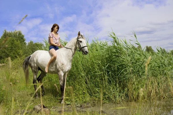 Brunett tjej med häst — Stockfoto