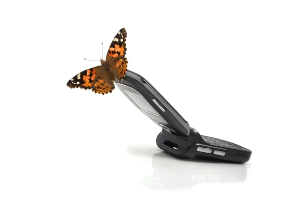 Bir cep telefonu üzerinde oturan kelebek — Stok fotoğraf