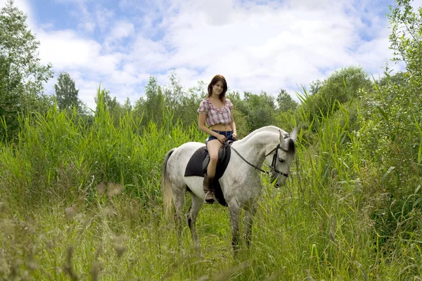 Κορίτσι μελαχρινή με άλογο — Φωτογραφία Αρχείου