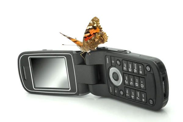 携帯電話に座って蝶 — ストック写真