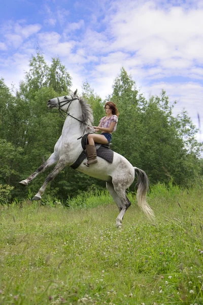 Brunette fille avec cheval — Photo