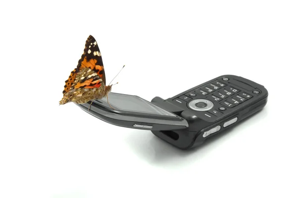 Πεταλούδα που κάθεται σε ένα κινητό τηλέφωνο — Φωτογραφία Αρχείου