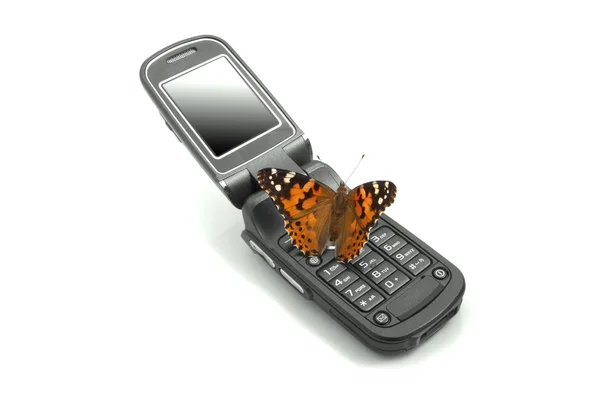 Borboleta sentado em um telefone celular — Fotografia de Stock