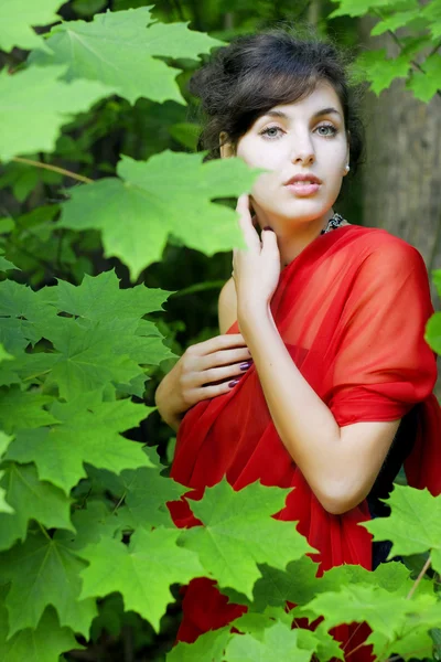 Meisje in het rood in de groene bladeren — Stockfoto
