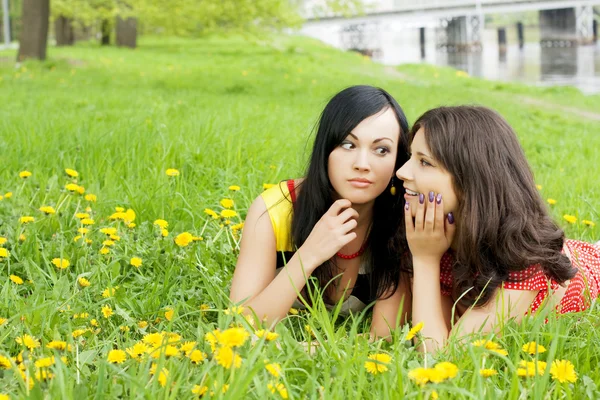 Chicas que fisionan secretos entre sí — Foto de Stock
