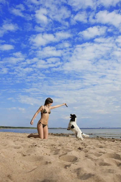 Ragazza con un cane sulla spiaggia — Foto Stock
