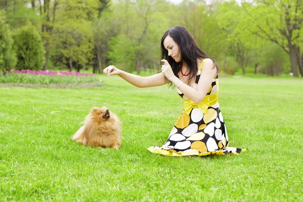 Ένα κορίτσι παίζει με ένα σκύλο στο πάρκο. — Φωτογραφία Αρχείου