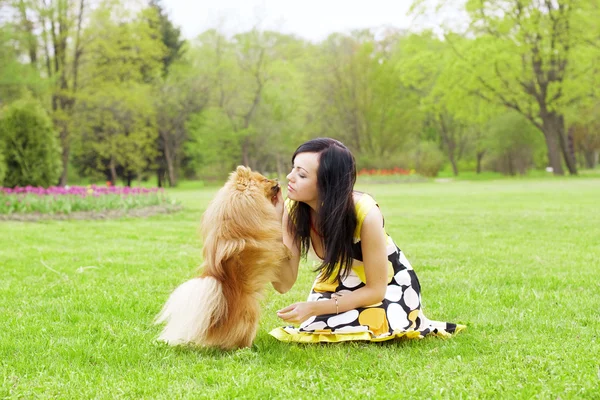 Meisje spelen met een hond in het park — Stockfoto