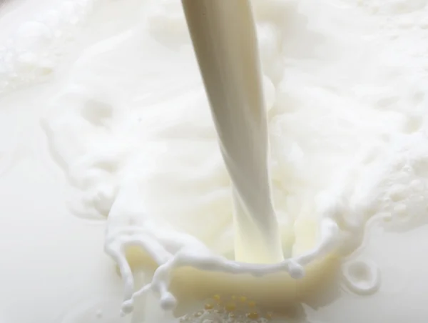 우유를 붓는 일 — 스톡 사진